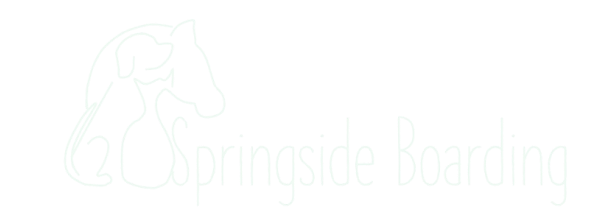 Springside Boarding