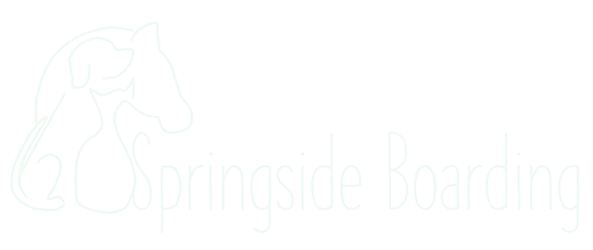 Springside Boarding