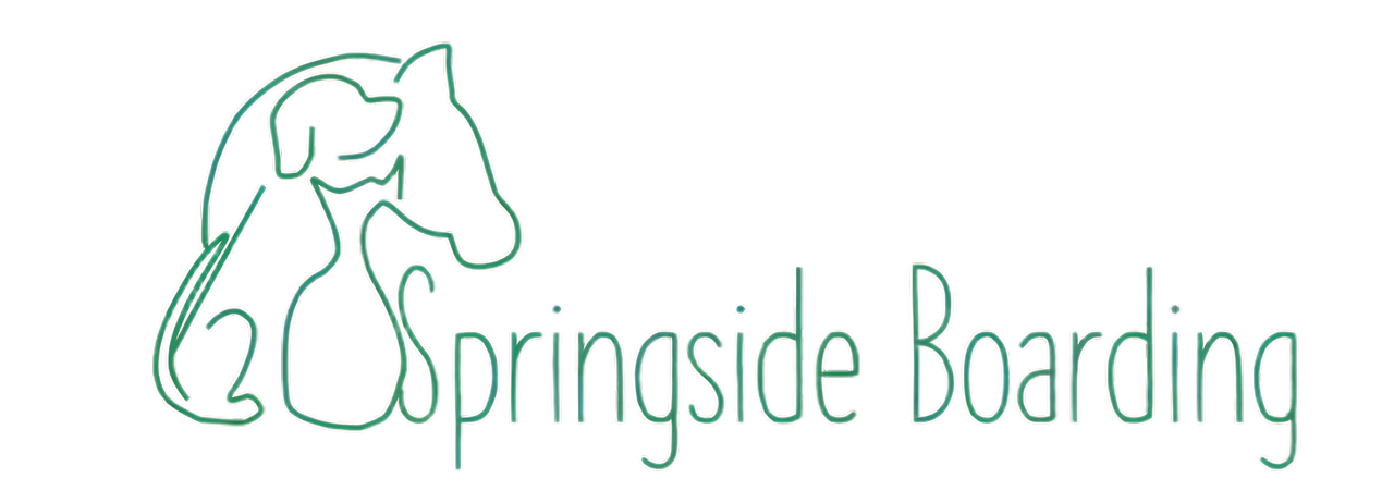 Springside Boarding