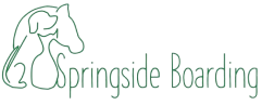 Springside Boarding