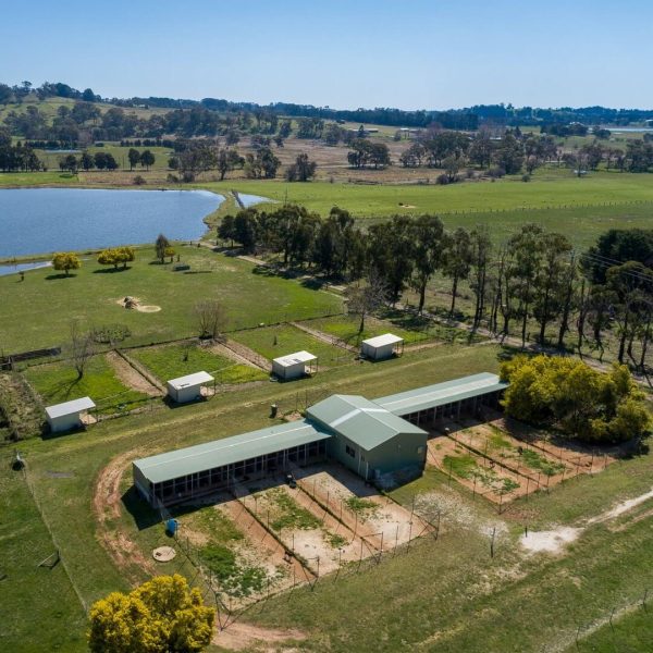 Horse Agistment 13 Dog Yards 2 1 1