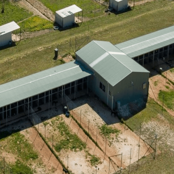 Boarding Kennels 13 Rectangle 5 1