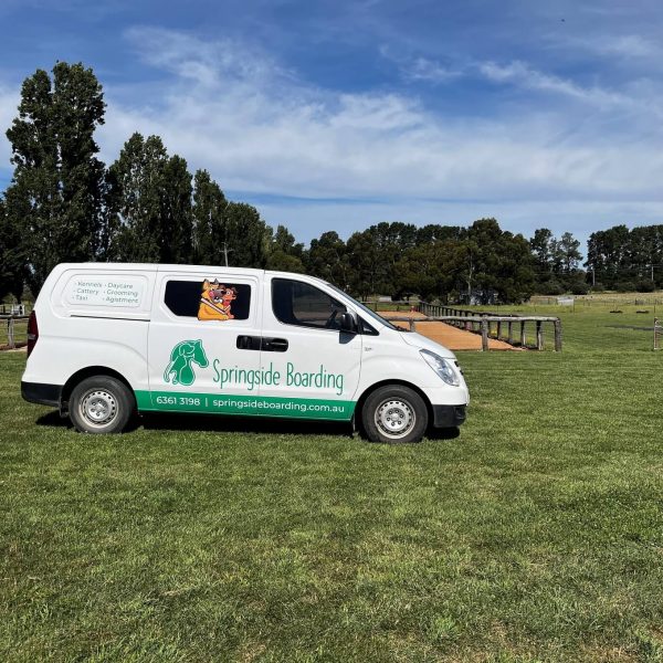 Boarding Kennels 10 doggy van 1 1